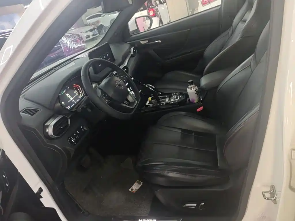 Haima Haima 8S — миниатюра 15