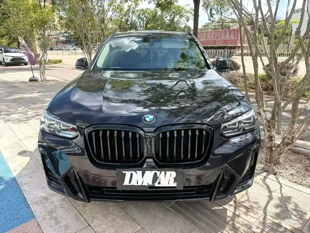 BMW X3 — миниатюра 6