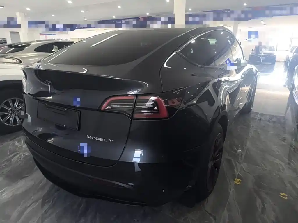 Tesla Model Y — миниатюра 5