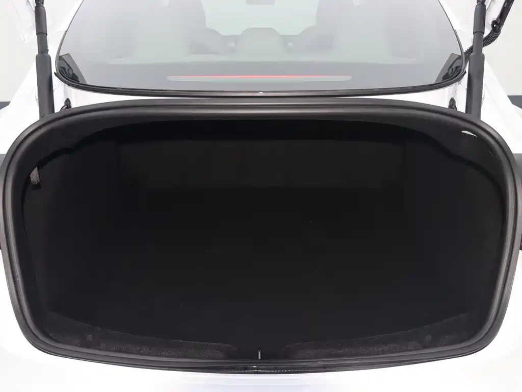 Tesla Model 3 — миниатюра 20