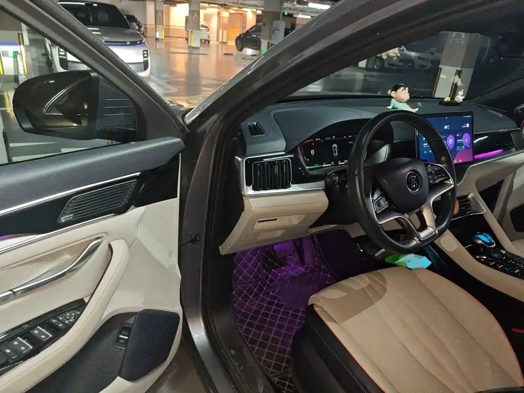 BYD PLUS New Energy — миниатюра 14