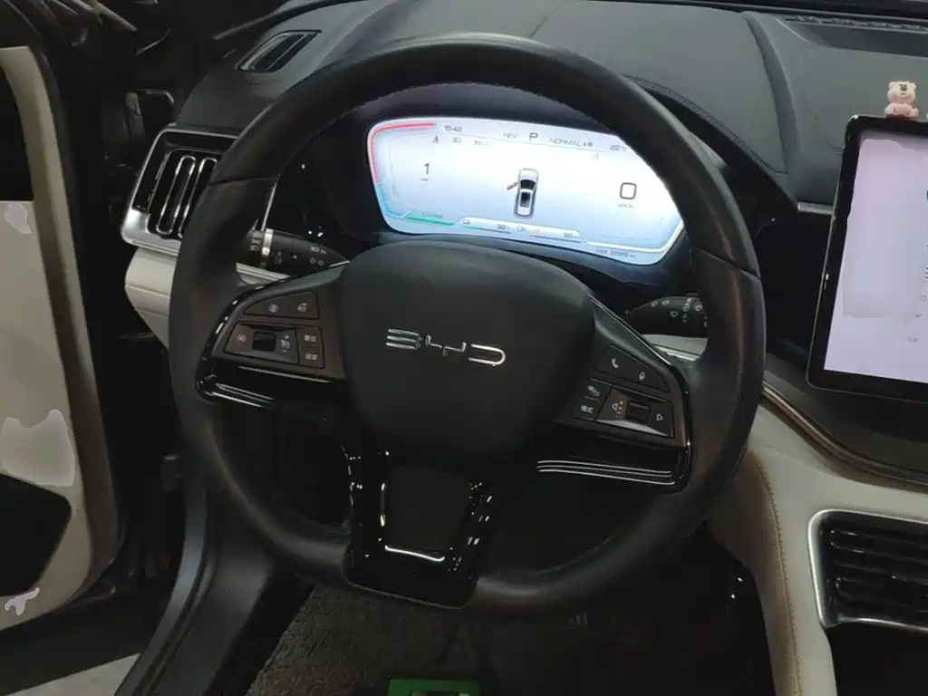 BYD PLUS New Energy — миниатюра 11