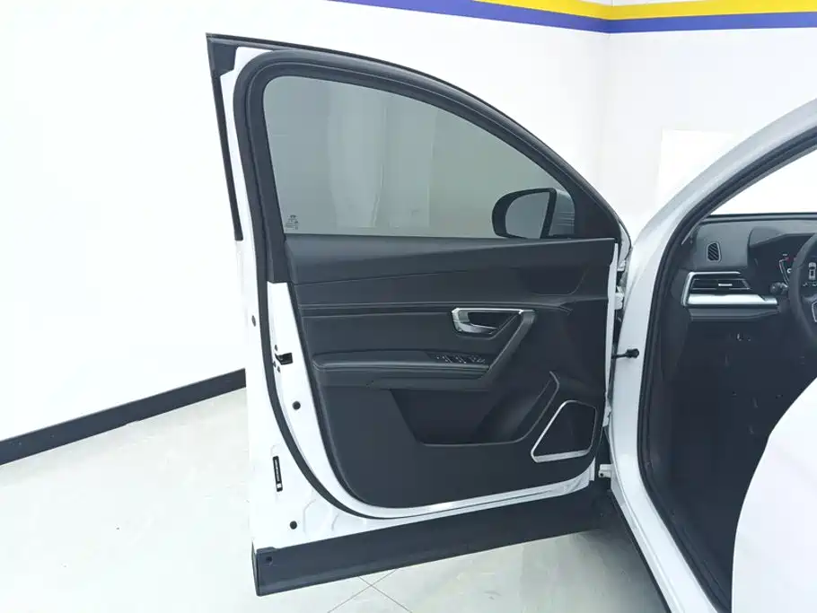 BYD Pro — миниатюра 7