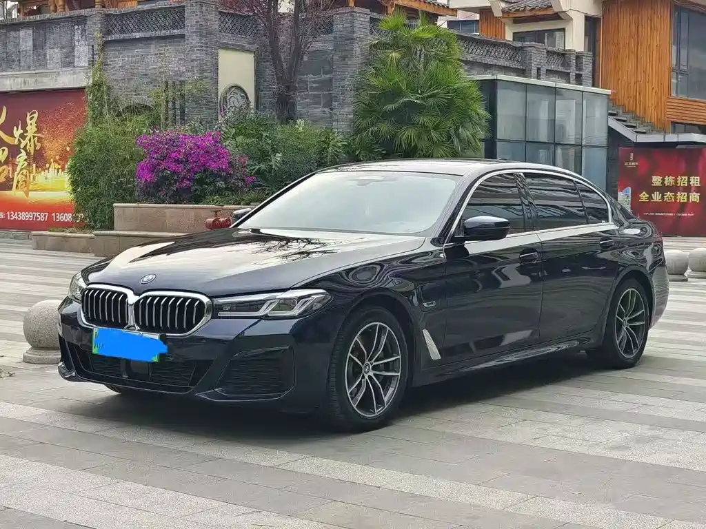 BMW 5 Series New Energy 2023
