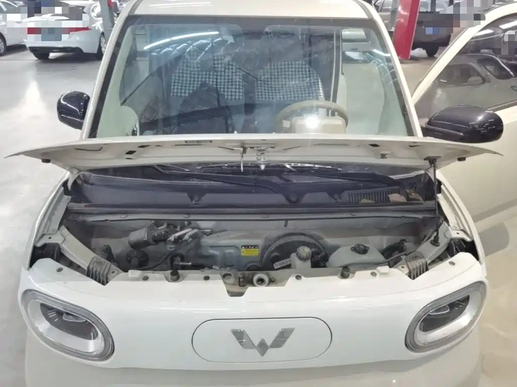 Wuling MINIEV — миниатюра 20