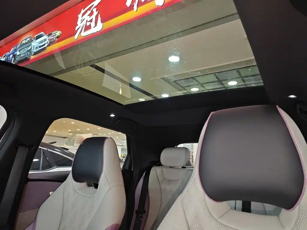 BYD Dolphin — миниатюра 18