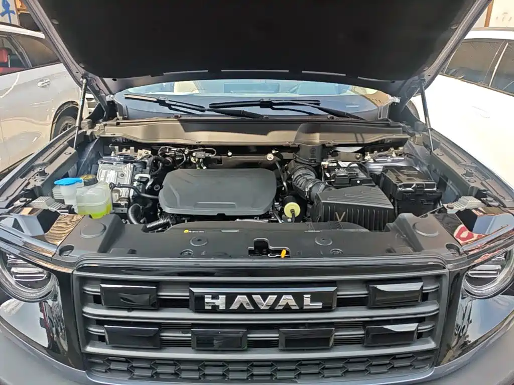 Haval Big Dog — миниатюра 20