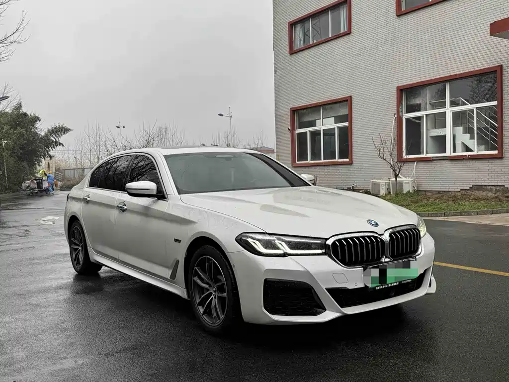 BMW 5 SERIES NEW ENERGY
