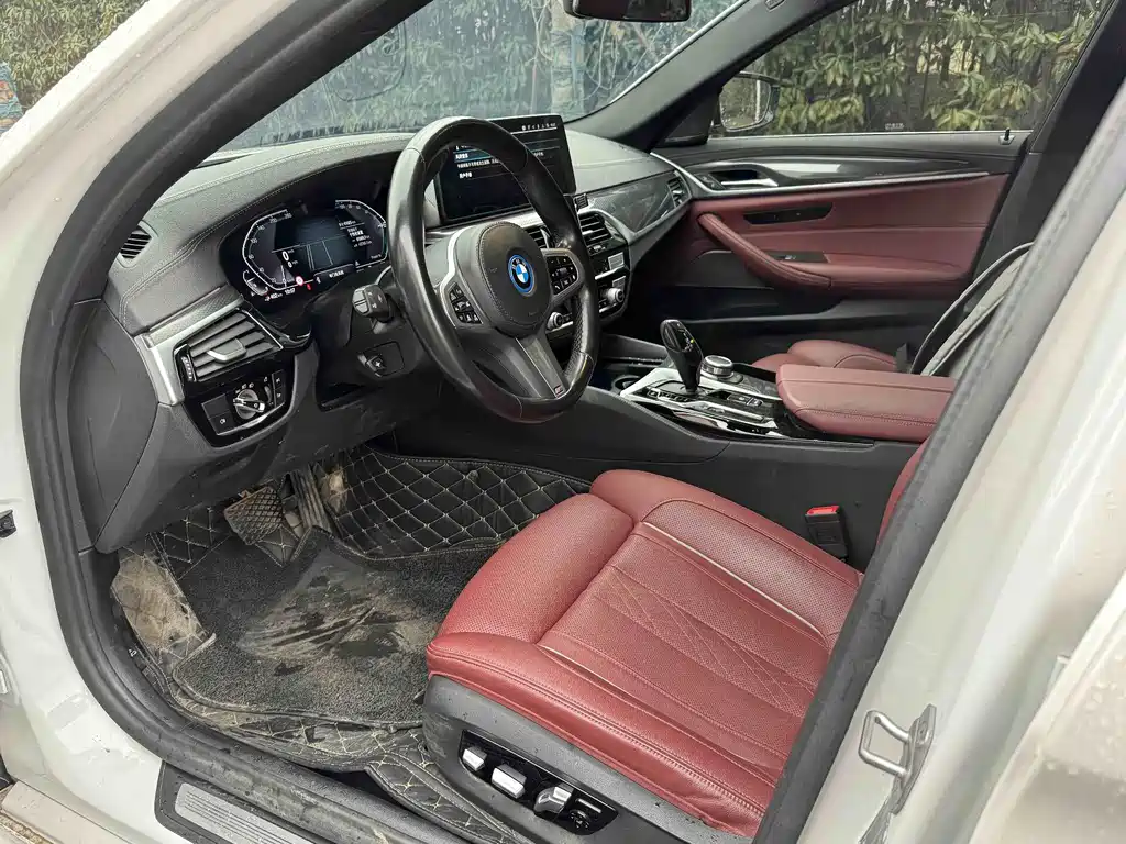 BMW 5 SERIES NEW ENERGY