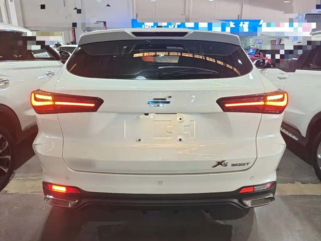 Oshan Oushang X5 — миниатюра 6