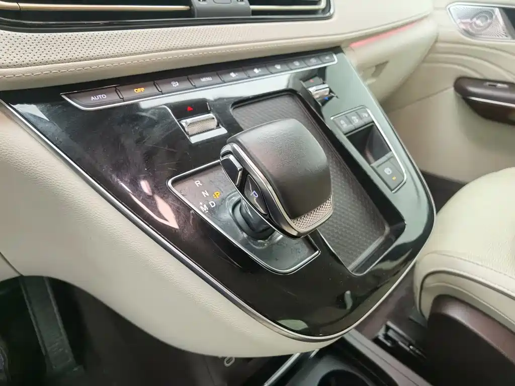 Hongqi Hongqi HQ9 — миниатюра 13