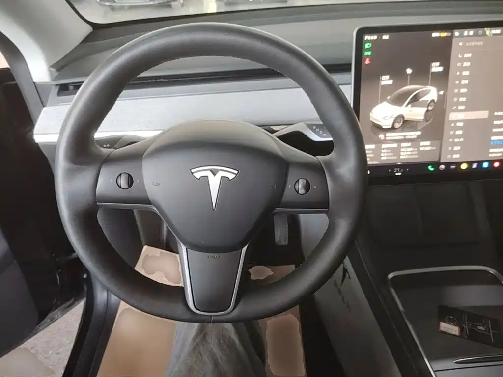 Tesla Model Y — миниатюра 11