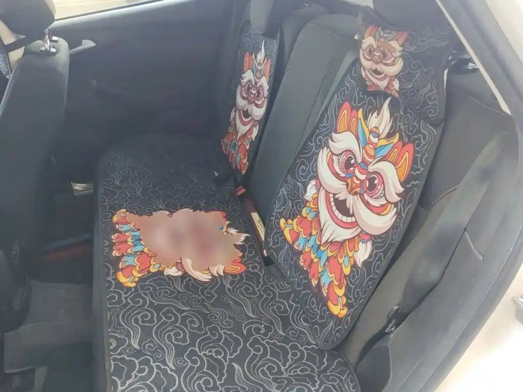 Ford Focus — миниатюра 13