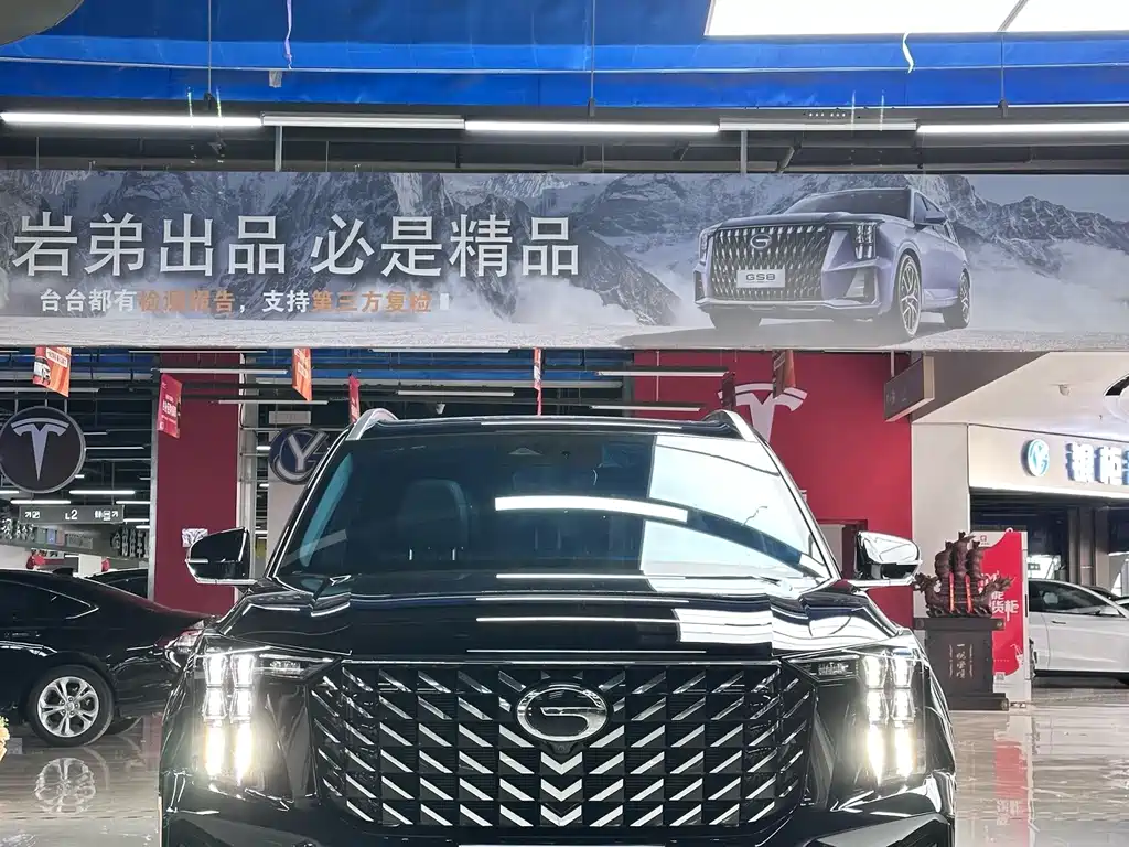 GAC Motor Trumpchi GS8 — миниатюра 3