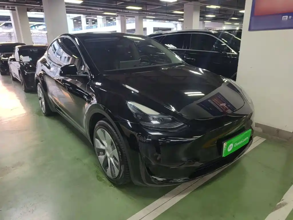 Tesla Model Y — миниатюра 4