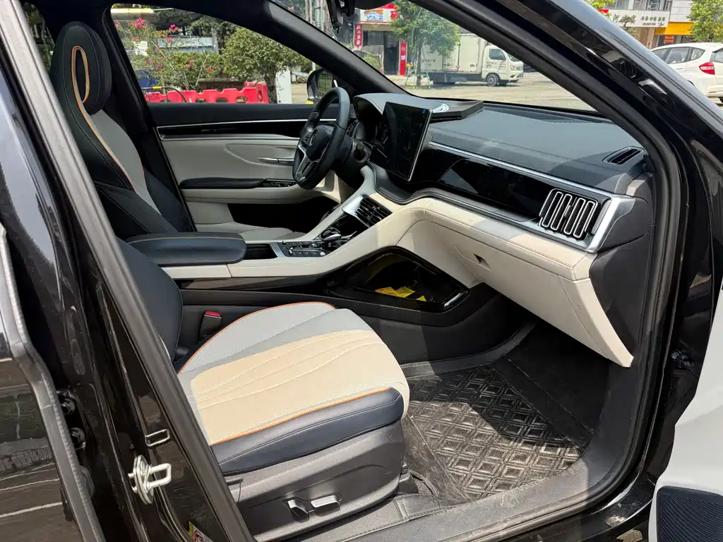 BYD PLUS New Energy — миниатюра 13