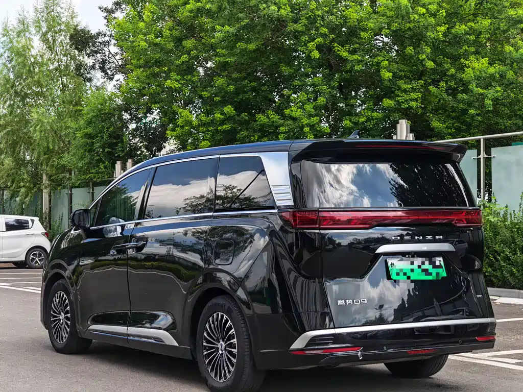 Denza Denza D9 — миниатюра 4