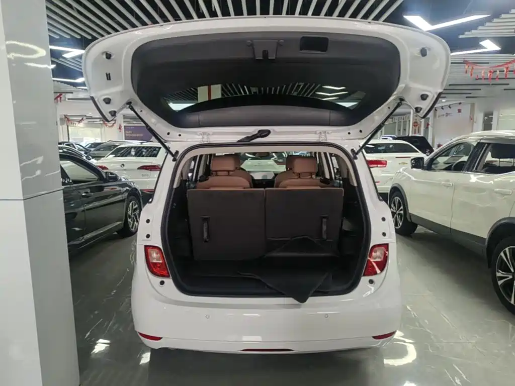Buick GL6 — миниатюра 19