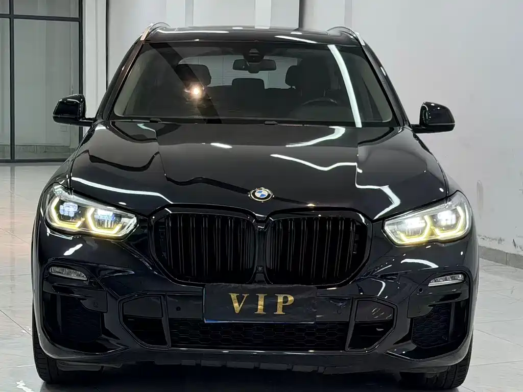 BMW X5 (Import) — миниатюра 2