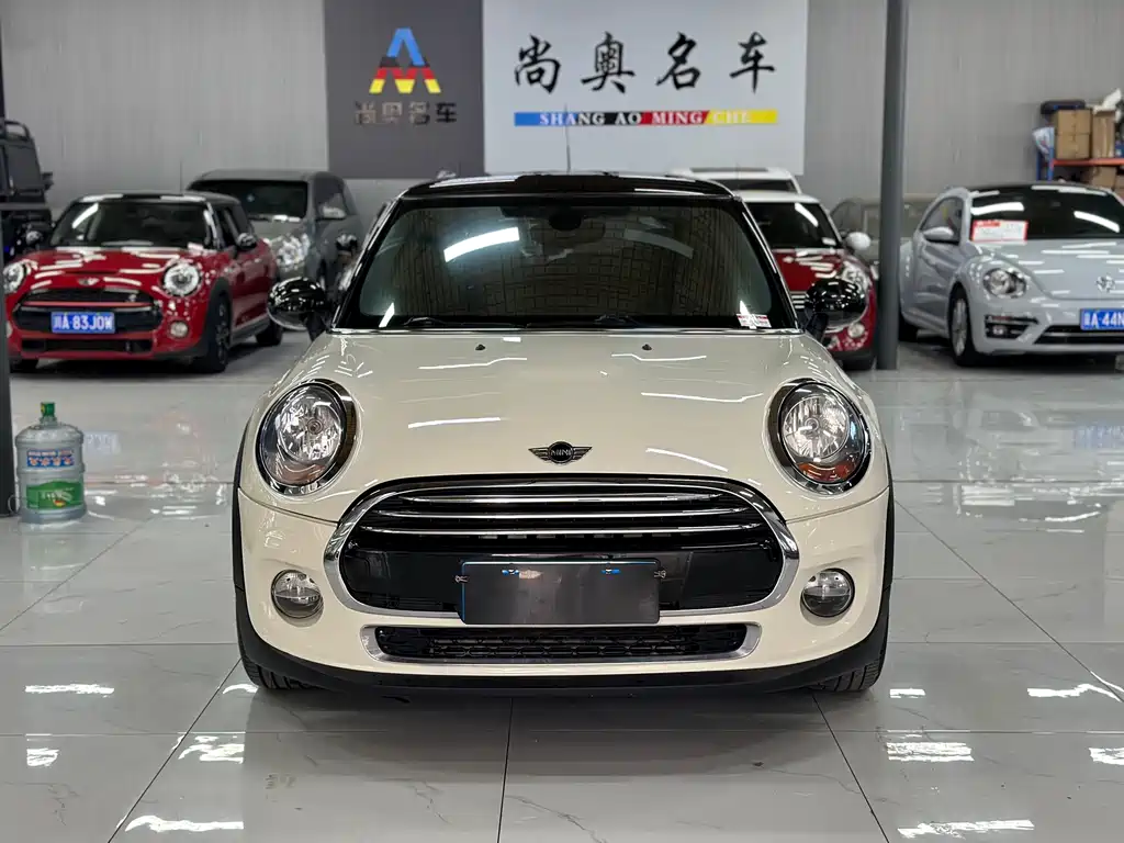 Mini Mini 2017
