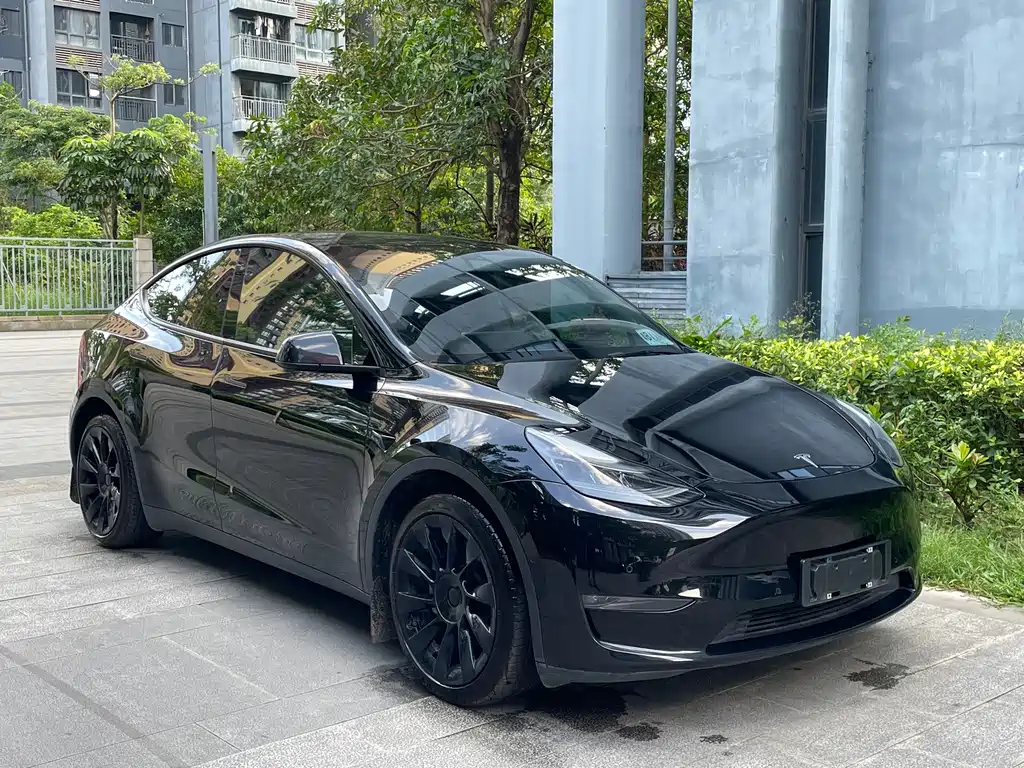 Tesla Model Y — миниатюра 10