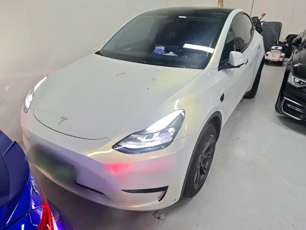 Tesla Model Y — миниатюра 2