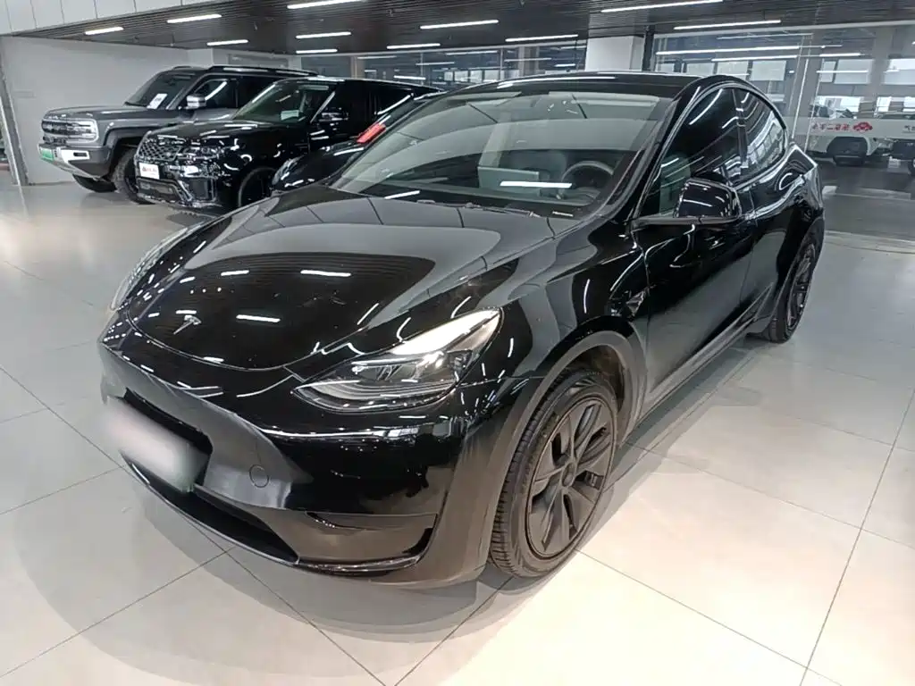 Tesla Model Y — миниатюра 2