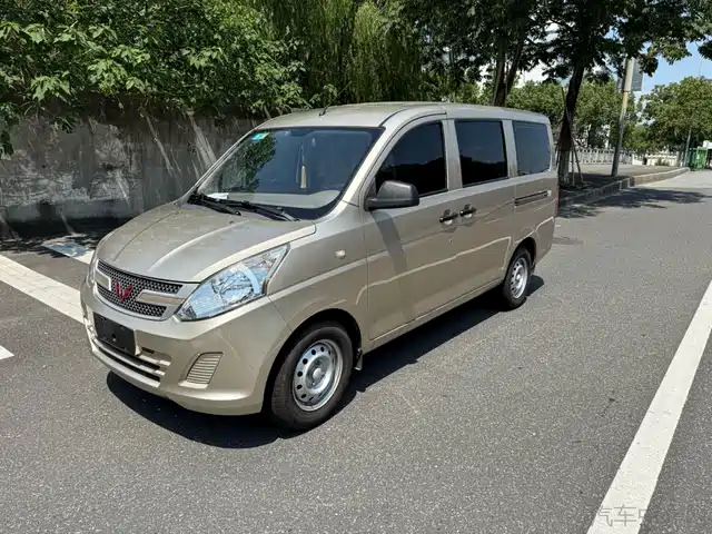 WULING AUTOMOBILE WULING RONGGUANG V 2019