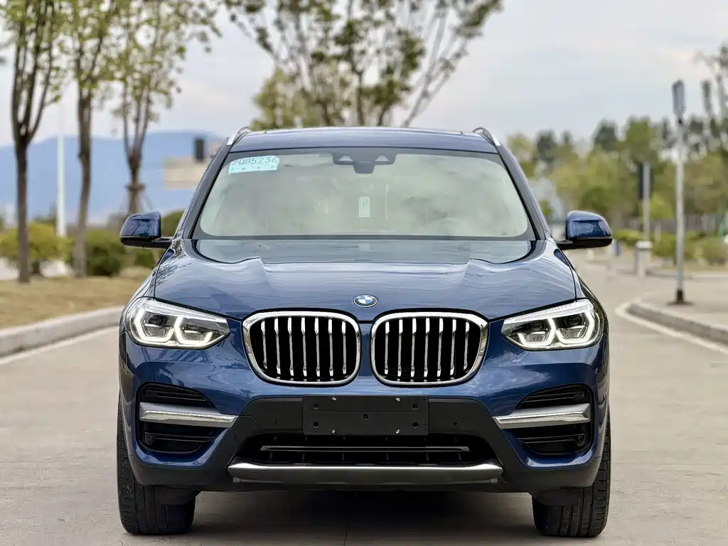 BMW X3 — миниатюра 2