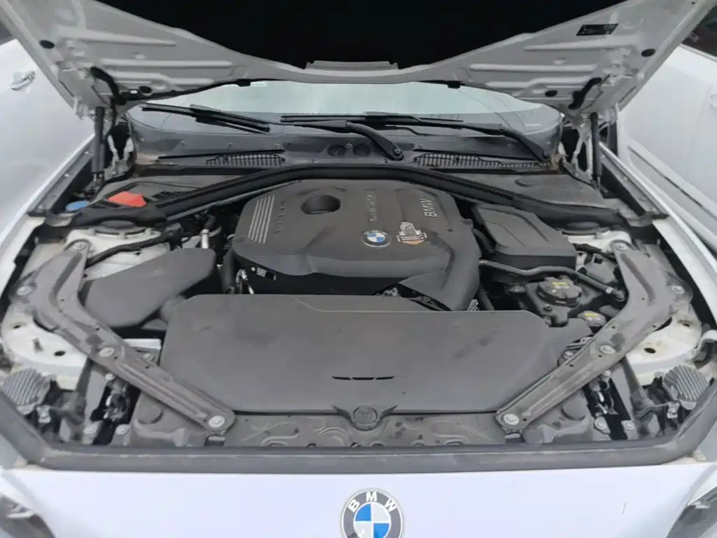 BMW 2 Series (Import) — миниатюра 20