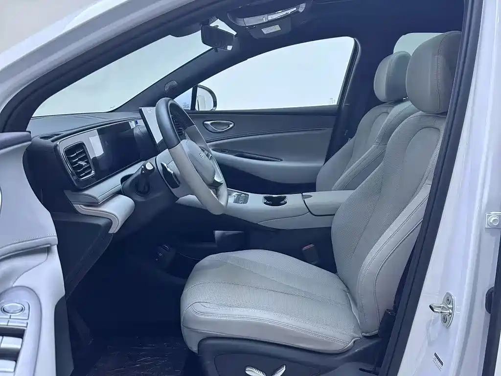 BYD Sealion 06 — миниатюра 4