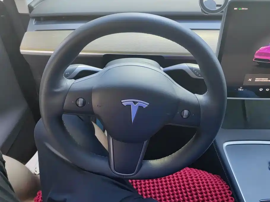 Tesla Model Y — миниатюра 15