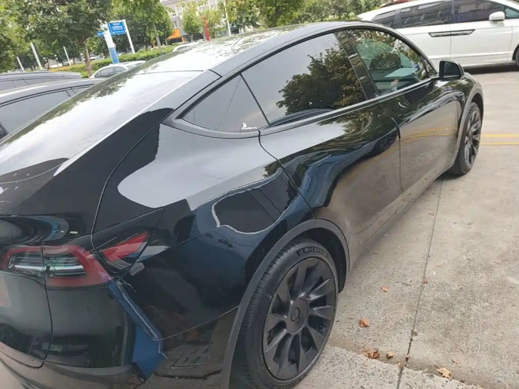 Tesla Model Y — миниатюра 7