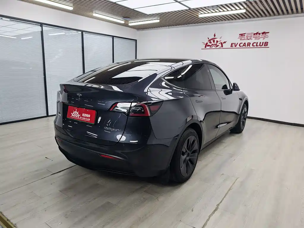 Tesla Model Y — миниатюра 2