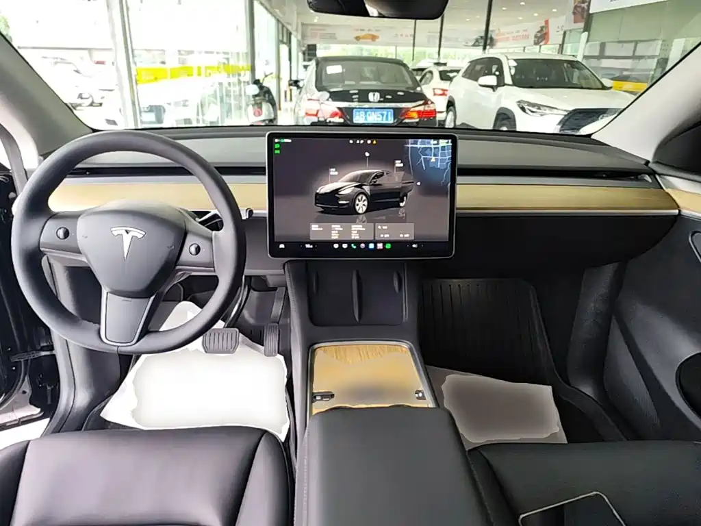 Tesla Model Y — миниатюра 10