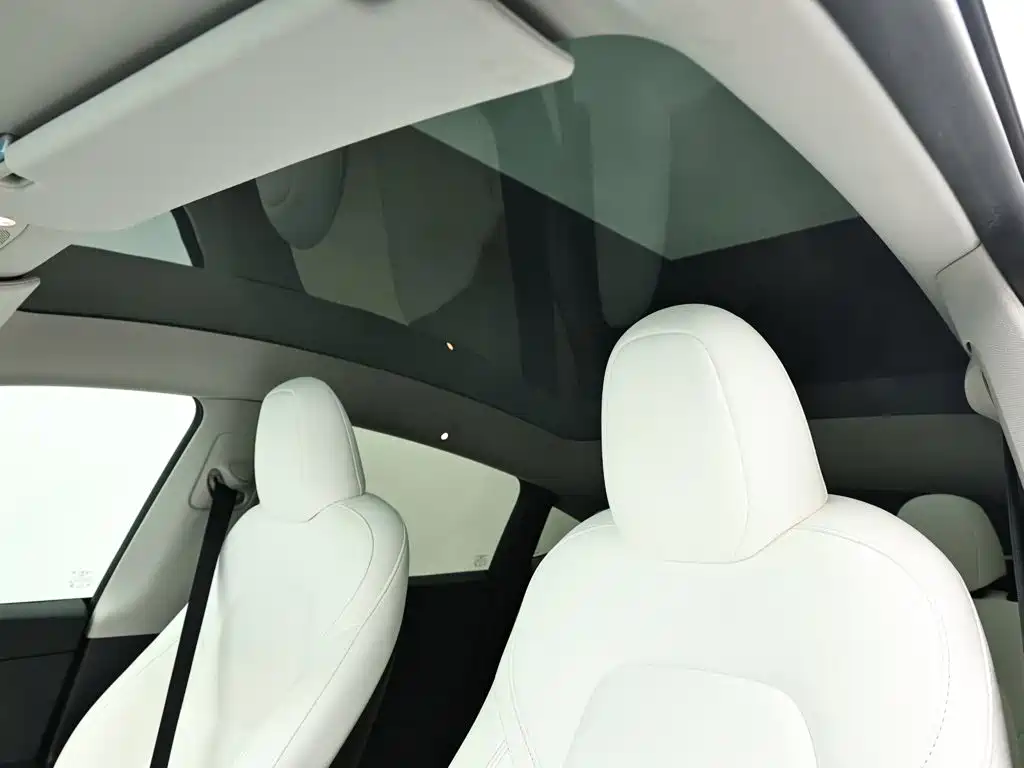 Tesla Model Y — миниатюра 13
