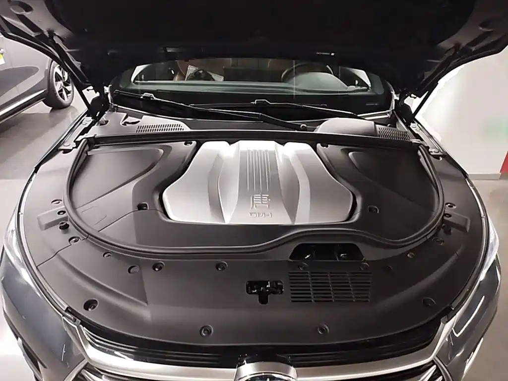 BYD Tang New Energy — миниатюра 16