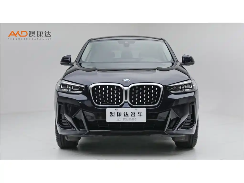 BMW X4 — миниатюра 2