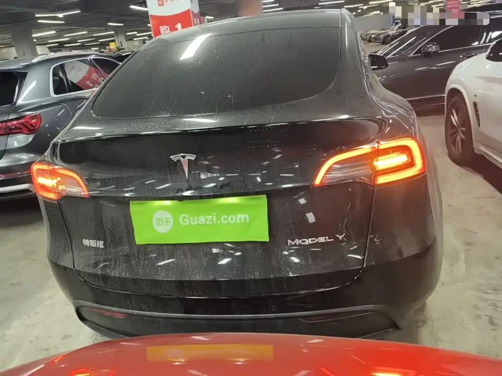 Tesla Model Y — миниатюра 6