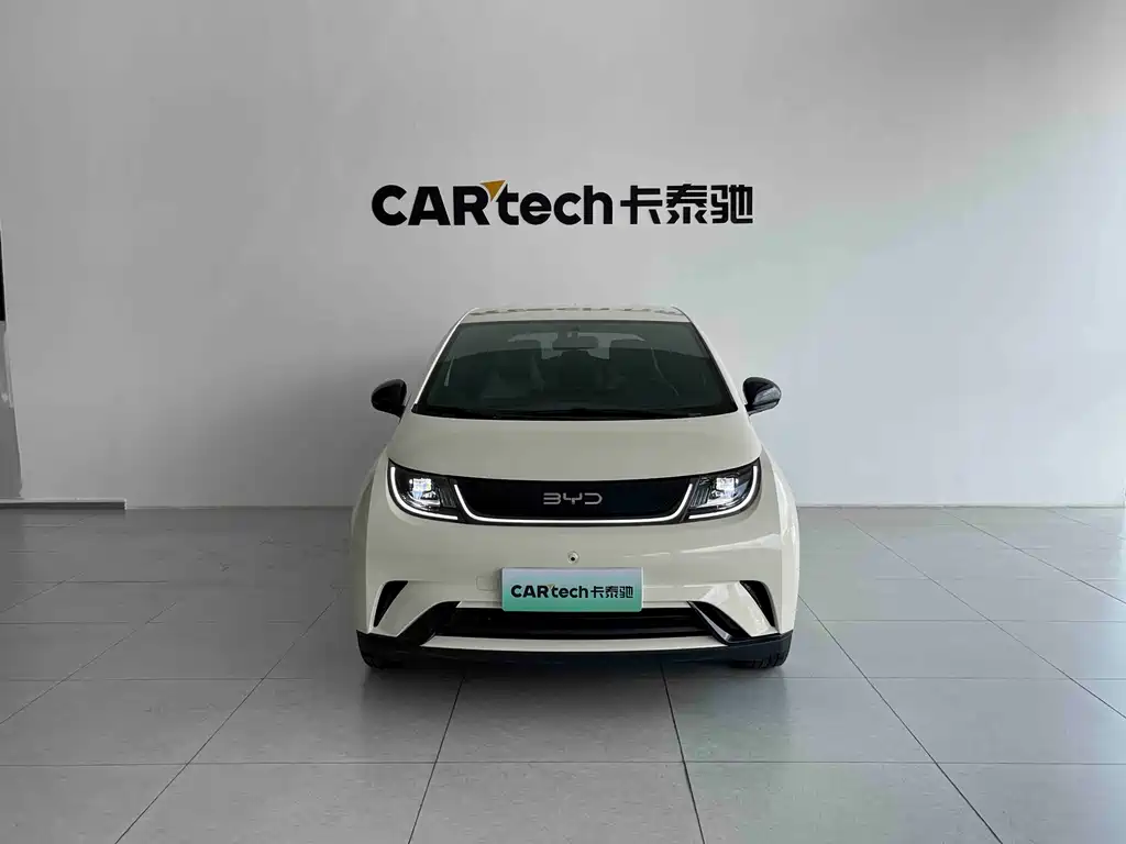 BYD Dolphin — миниатюра 2