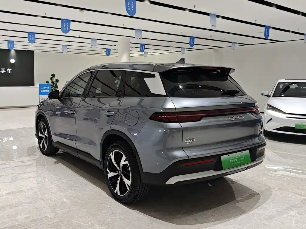 BYD Pro New Energy — миниатюра 13