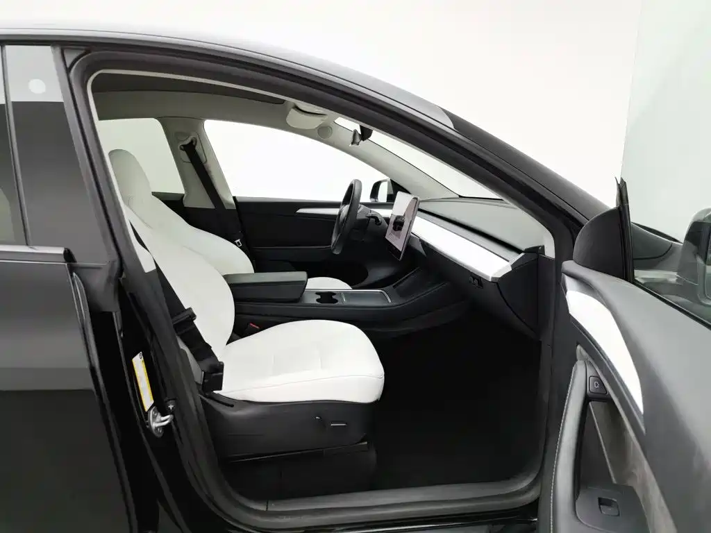 Tesla Model Y — миниатюра 23