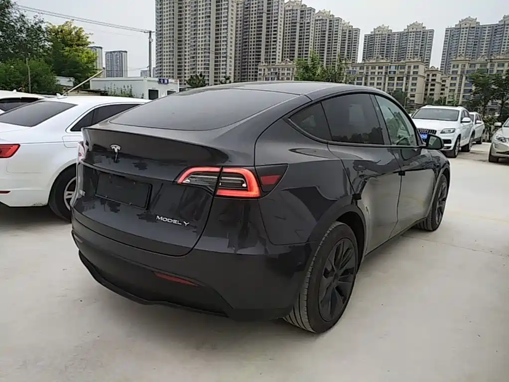 Tesla Model Y — миниатюра 7