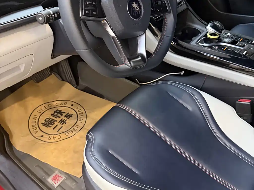 BYD Qin PLUS — миниатюра 8