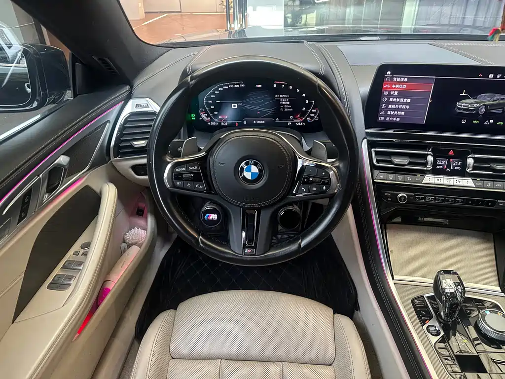 BMW 8 Series — миниатюра 8