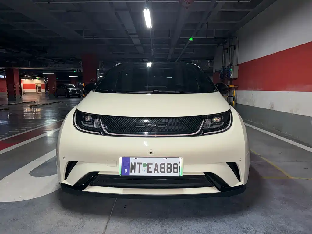 BYD Dolphin — миниатюра 2