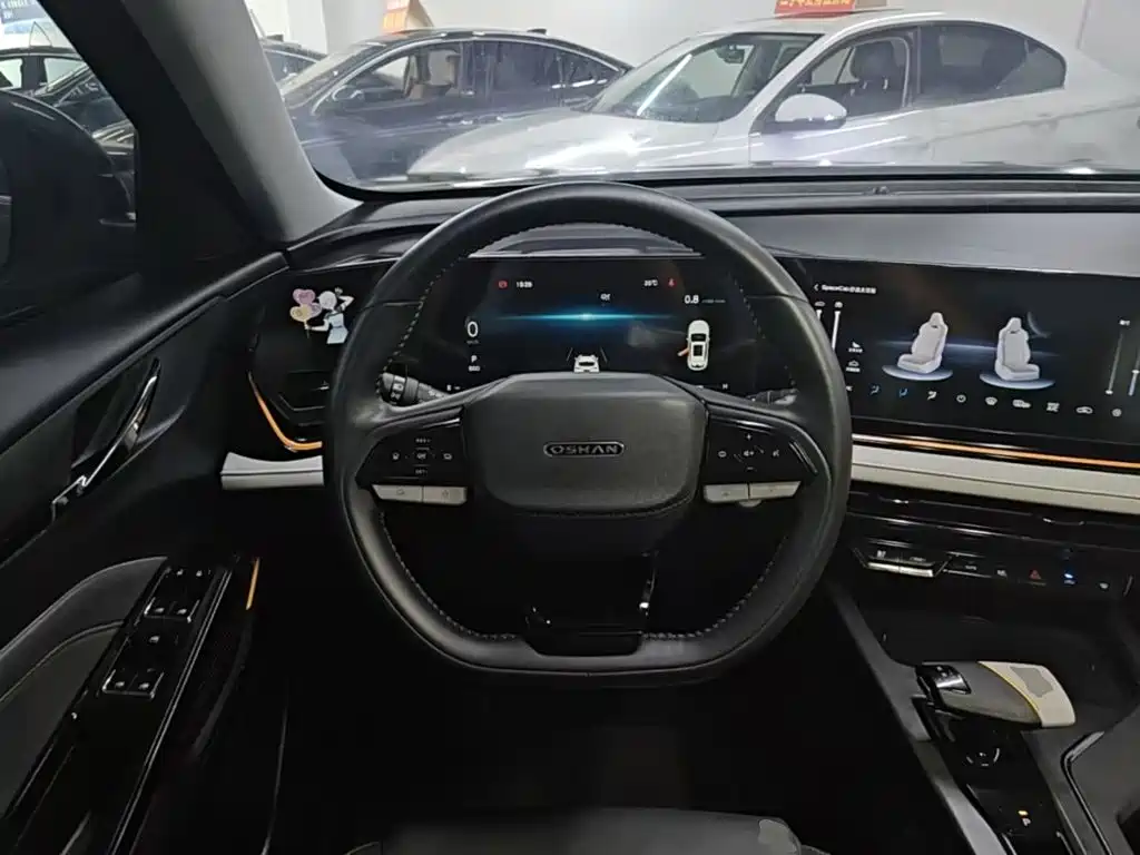 Oshan Oushang X5 PLUS — миниатюра 11