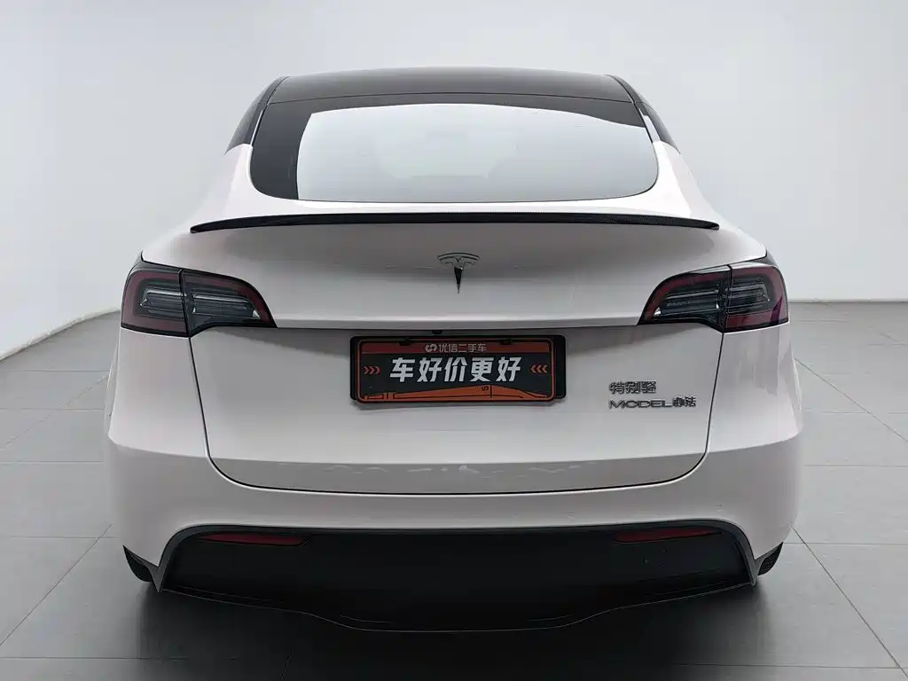 Tesla Model Y — миниатюра 4