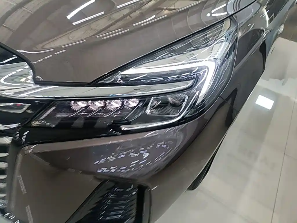 Buick GL8 — миниатюра 24