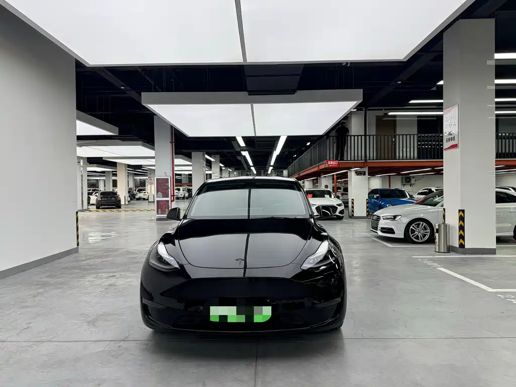 Tesla Model Y — миниатюра 2